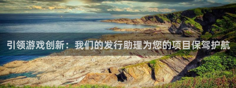 亿万28官网登录注册账号：引领游戏创新：我们的发行助理为您的项目保驾护航