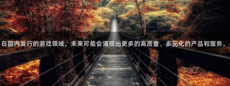 亿万28官网注册方法是什么样的：在国内发行的游戏领域，未来可能会涌现出更多的高质量、多元化的产品和服务。