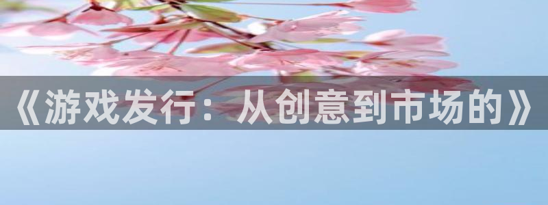 亿万28防水的质量怎么样：《游戏发行：从创意到市场的》