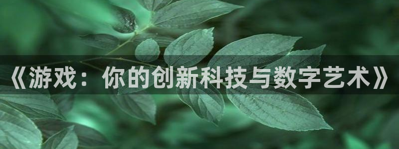 亿万28官网客服服务：《游戏：你的创新科技与数字艺术》
