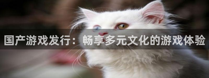 亿万28服装分店有几家：国产游戏发行：畅享多元文化的游戏体验