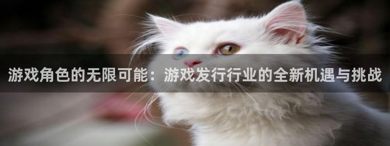 亿万28技术有限公司：游戏角色的无限可能：游戏发行行业的全新机遇与挑战