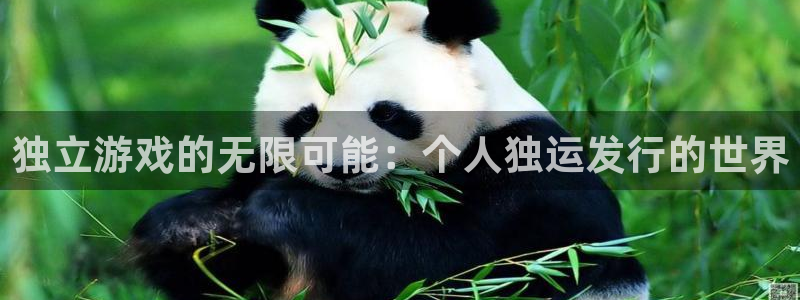 亿万28官网登录注册账号失败怎么回事：独立游戏的无限可能：个人独运发行的世界