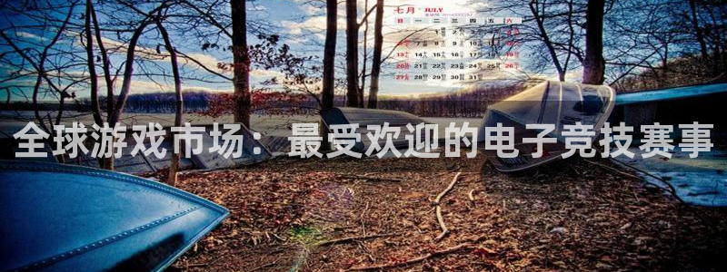 亿万28电子商务有限公司怎么样啊