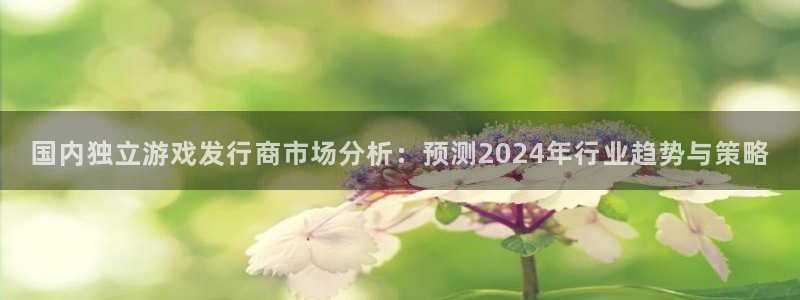 亿万28官网官网注册账号怎么注册：国内独立游戏发行商市场分析：预测2024年行业趋势与策略