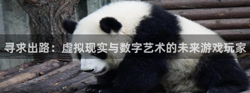 亿万28官网登录注册失败怎么回事：寻求出路：虚拟现实与数字艺术的未来游戏玩家