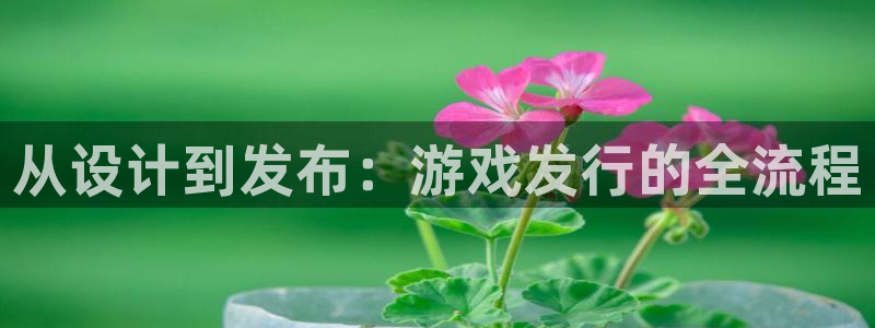 亿万28官网注册平台怎么注册不了：从设计到发布：游戏发行的全流程