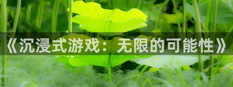 亿万28子公司怎么样可靠吗：《沉浸式游戏：无限的可能性》