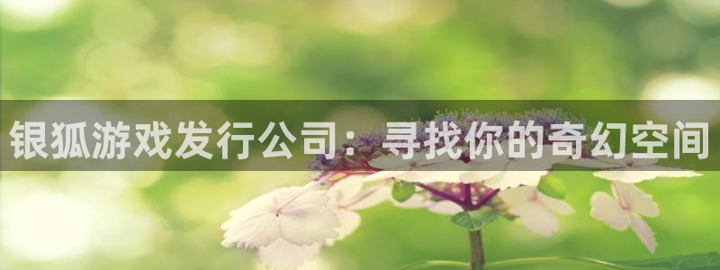 亿万28官网登录注册不了账号：银狐游戏发行公司：寻找你的奇幻空间