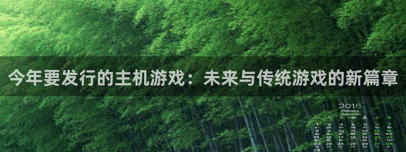 亿万28仓储中心：今年要发行的主机游戏：未来与传统游戏的新篇章