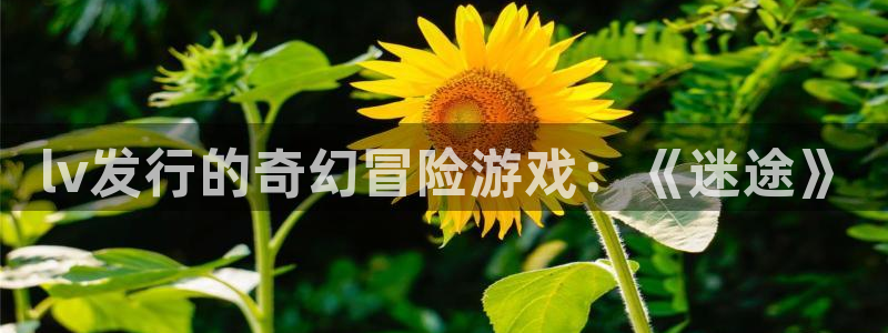 亿万28好还是红狮好