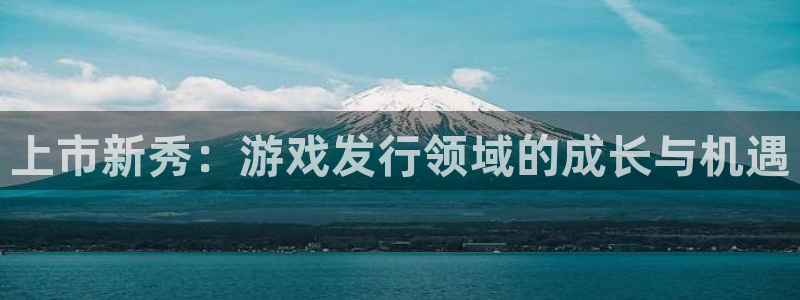 亿万28官网解绑银行卡怎么操作：上市新秀：游戏发行领域的成长与机遇