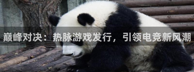 亿万28品牌设计