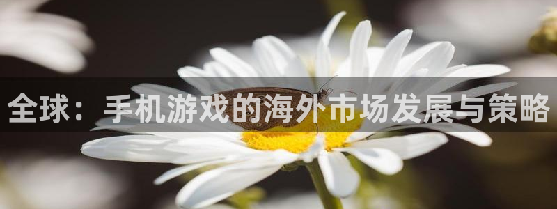 亿万28官网解绑银行卡怎么解绑：全球：手机游戏的海外市场发展与策略
